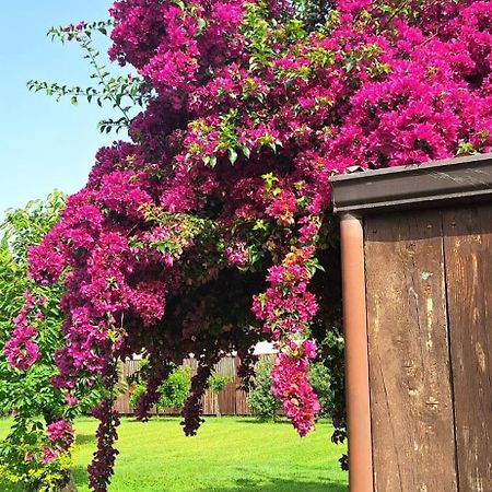 Villa Lucilla Altavilla Silentina Bagian luar foto