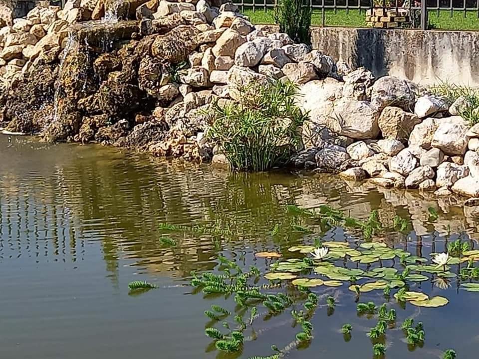 Villa Lucilla Altavilla Silentina Bagian luar foto