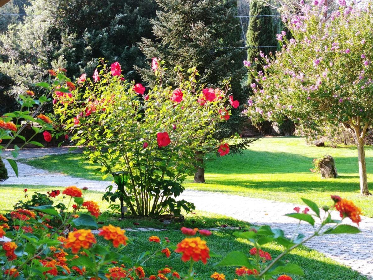 Villa Lucilla Altavilla Silentina Bagian luar foto