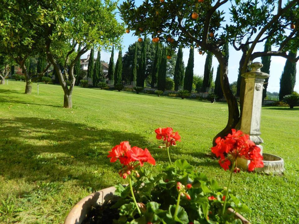 Villa Lucilla Altavilla Silentina Bagian luar foto