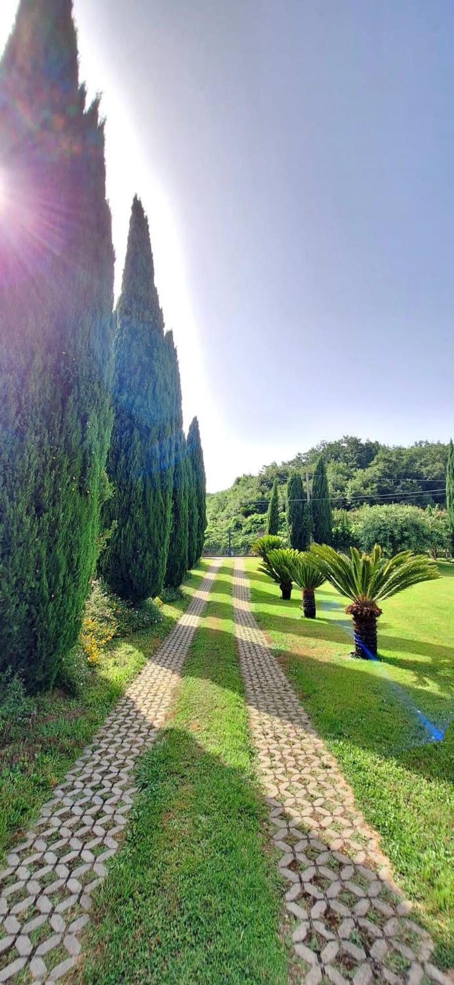 Villa Lucilla Altavilla Silentina Bagian luar foto