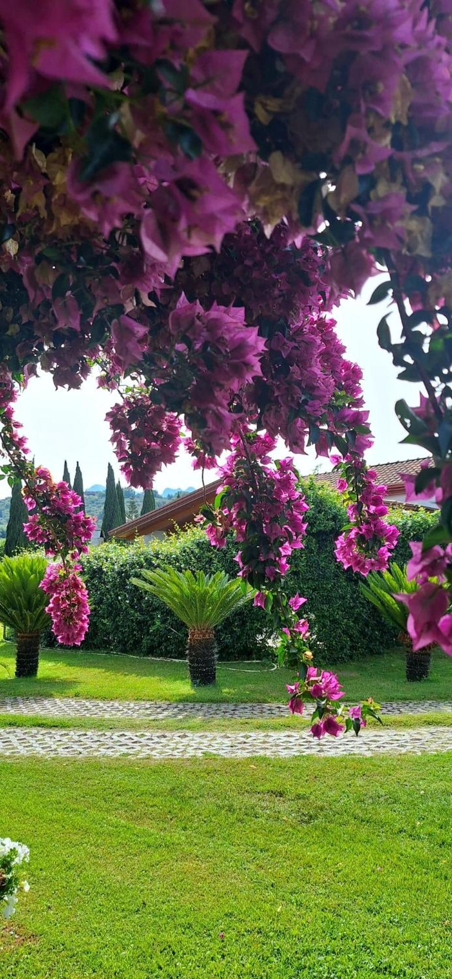 Villa Lucilla Altavilla Silentina Bagian luar foto