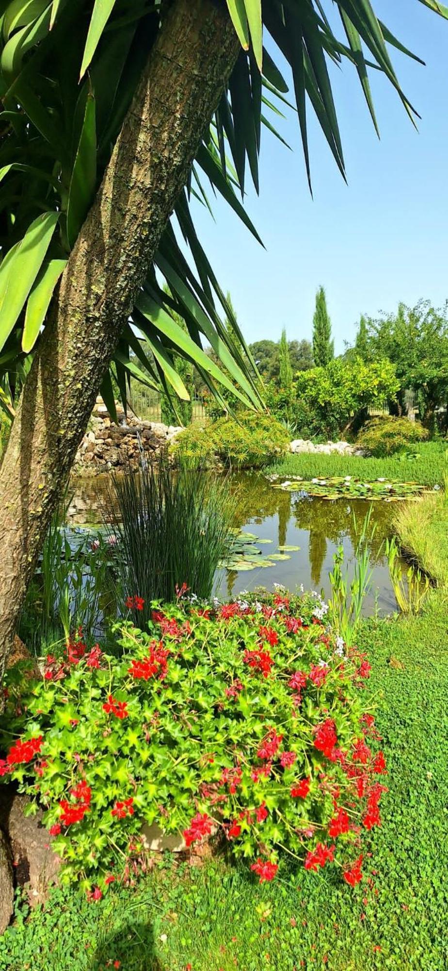 Villa Lucilla Altavilla Silentina Bagian luar foto