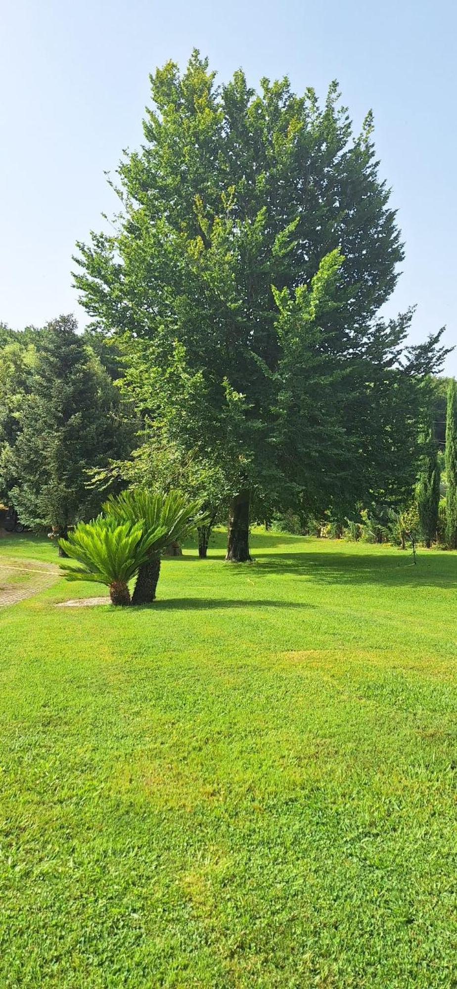 Villa Lucilla Altavilla Silentina Bagian luar foto