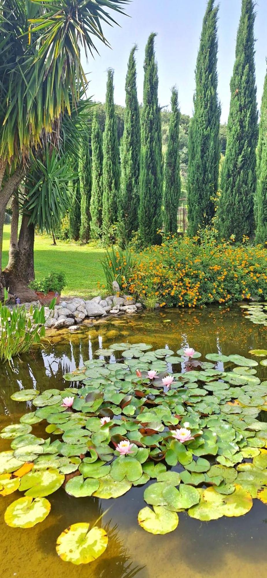 Villa Lucilla Altavilla Silentina Bagian luar foto